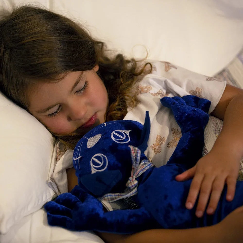 Sensory & Calming Tools